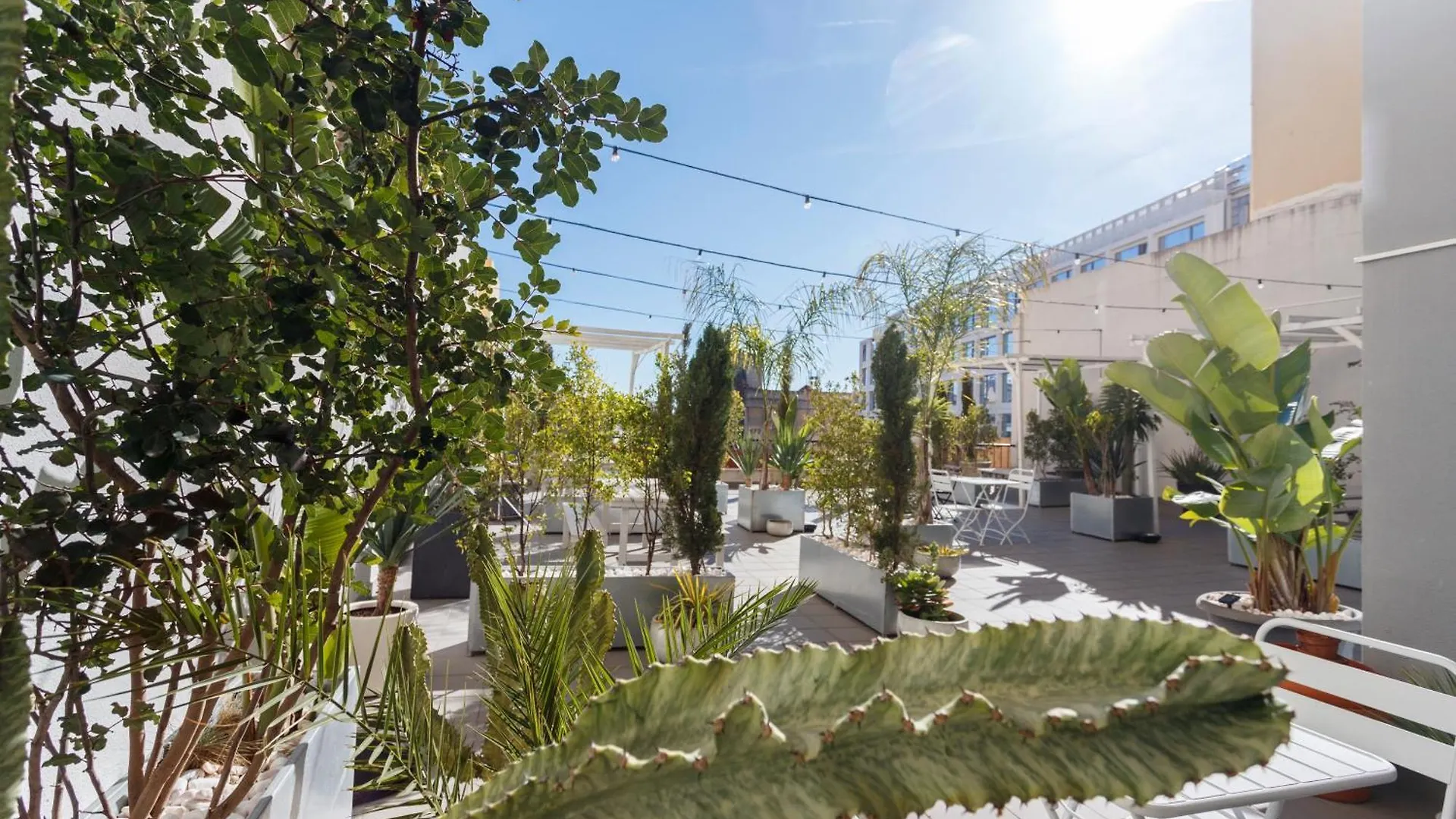Mojito Breeze In Lisbon By Misha'S Place 3C